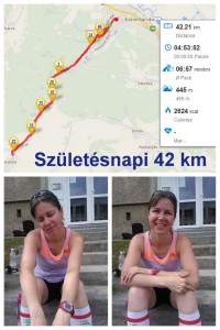 42.2km_20140620_kollazs